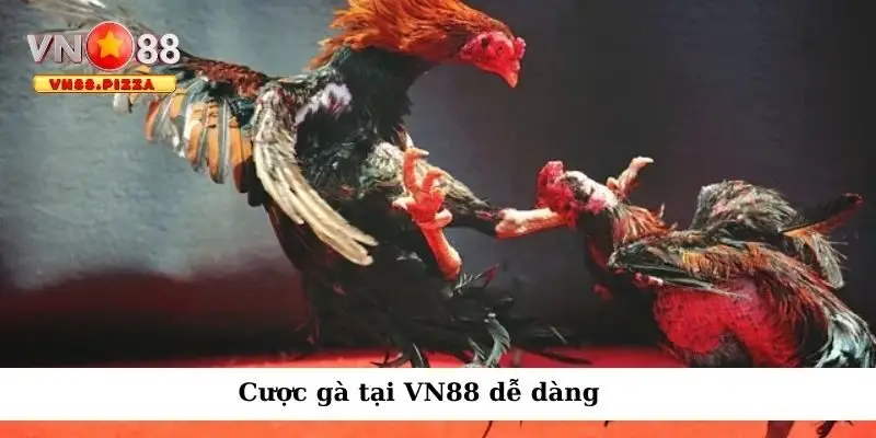 Cược gà tại VN88 dễ dàng